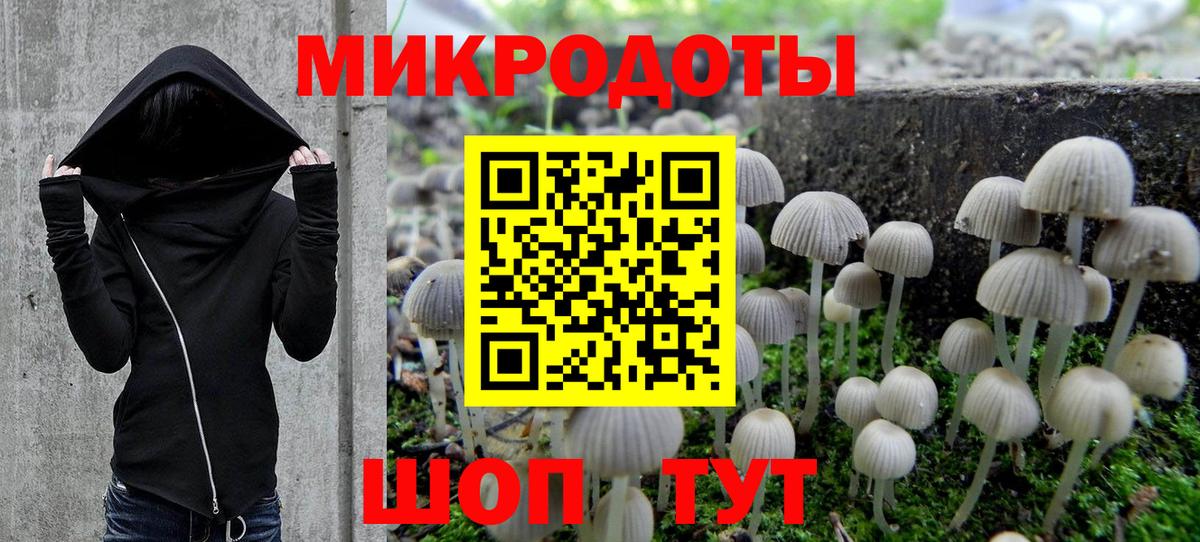 Галлюциногенные грибы Cubensis Троицк