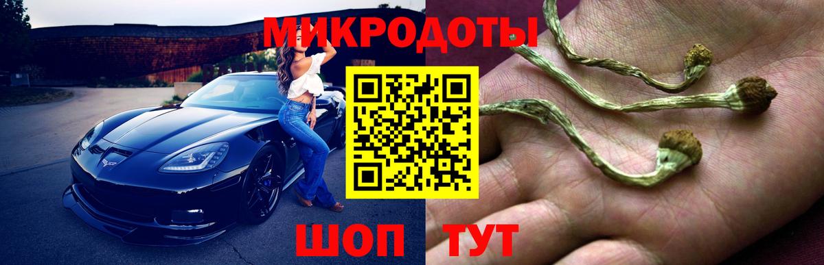 Галлюциногенные грибы Psilocybe  Галлюциногенные грибы мицелий  Вход с VPN  Троицк 